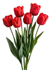 Fototapeta premium PNG Vibrant red tulips bouquet