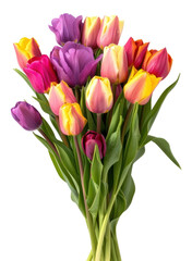 Fototapeta premium PNG Vibrant bouquet of colorful tulips