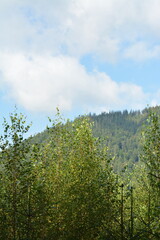 Blue sky with clouds over forest and mountain