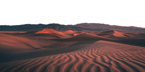 PNG Beautiful desert landscape outdoors horizon nature.