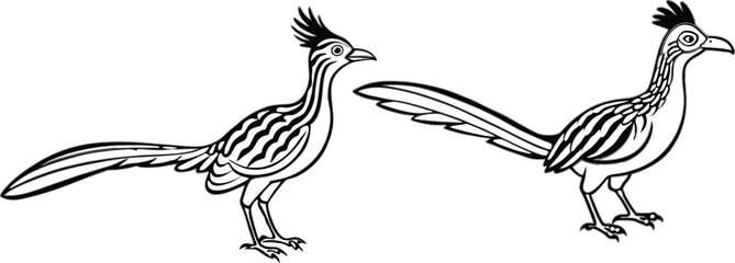 roadrunner silhouette vector illustration 