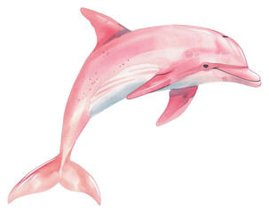 PNG Pink Dolphin dolphin appliance animal.