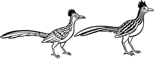 roadrunner silhouette vector illustration 