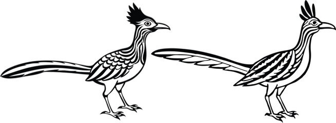 roadrunner silhouette vector illustration 