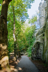 A serene path winding through lush greenery and rocky formations at Drachenfels, inviting exploration and connection with nature