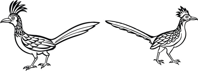 roadrunner silhouette vector illustration 