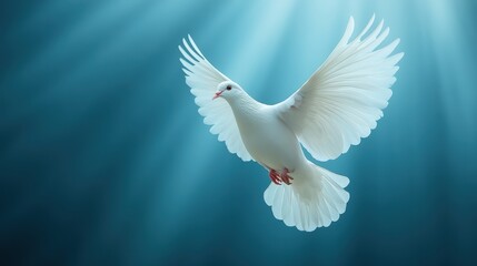 Fototapeta premium A white dove of freedom ascending towards the heavens, with rays of light surrounding it, representing hope and liberation