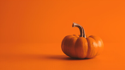 Single Pumpkin on Orange Background with Copy-Space