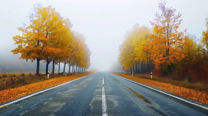 Autumn Road Through Fog