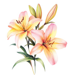 Beautiful watercolor painting of two vibrant lilies in full bloom. Perfect for greeting cards, invitations, and home decor.