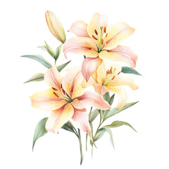 Elegant watercolor illustration of pink lilies, hand-painted flowers perfect for floral decor or art projects.