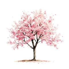Fototapeta premium Watercolor illustration of a cherry blossom tree in full bloom with delicate pink flowers, representing spring and nature's beauty.