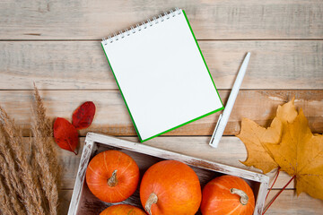 Hello autumn. Harvest and Thanksgiving concept. Ripe pumpkins, ears of wheat and fallen leaves on a wooden background. Mockup notebook. Copy space.