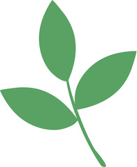 나뭇잎