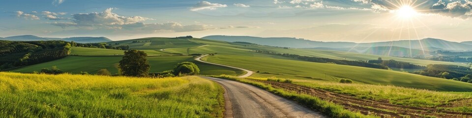 Fototapeta premium Curved road bathed in sunlight within scenic countryside, featuring a bright blue sky and lush greenery, perfectly capturing the essence of travel and adventure.