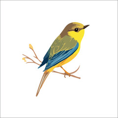 Photo of Realistic Vector Illustration of Colorful Birds Set