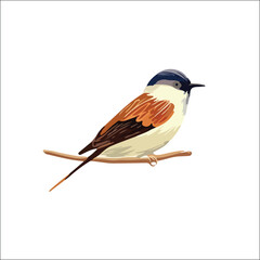 Photo of Realistic Vector Illustration of Colorful Birds Set