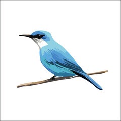 Photo of Realistic Vector Illustration of Colorful Birds Set