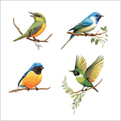 Photo of Realistic Vector Illustration of Colorful Birds Set