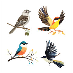 Photo of Realistic Vector Illustration of Colorful Birds Set
