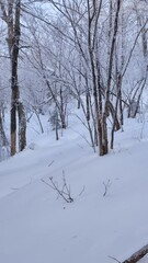 thick snow covered trees and winter mountain hill 4k vertical footage - Powered by Adobe