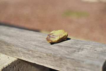 Rock with opal inside
