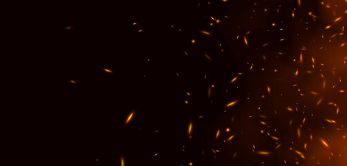 Flame with sparks, fire with flying cinder, abstract glowing embers, heat sparkles, bokeh fire texture. Vector illustration. © Likanaris