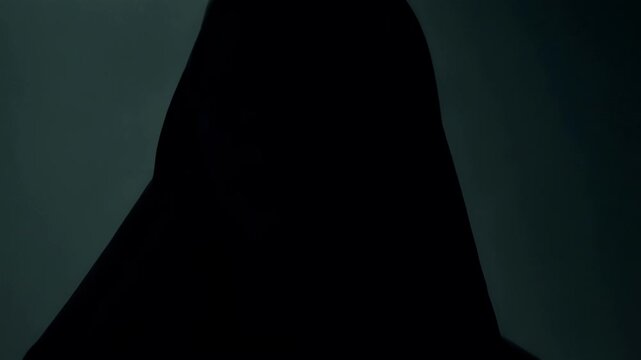 Mysterious figure wearing a black hood stands against a dark background, creating an atmosphere of secrecy and intrigue. The image evokes themes of anonymity, mystery, and the unknown