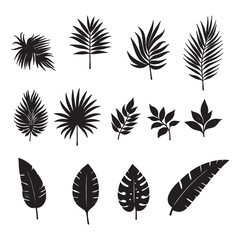 set of silhouettes of tropical leaves on white