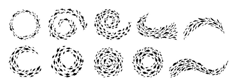 Circular school of fish creating varied and elegant shapes in the ocean. This underwater imagery captures marine patterns and life in the sea, presenting a harmonious aquatic scene.