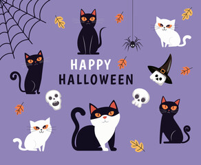 Black and white cats; skulls and a spider. The Halloween holiday.