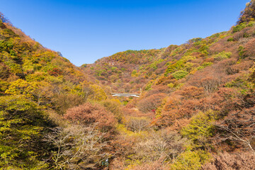 日本の風景・秋　群馬県安中市　紅葉の碓氷第三橋梁（めがね橋）からの眺望
