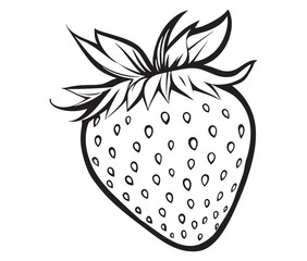 illustration of a strawberry