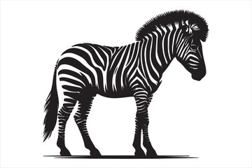 Zebra silhouette  vector