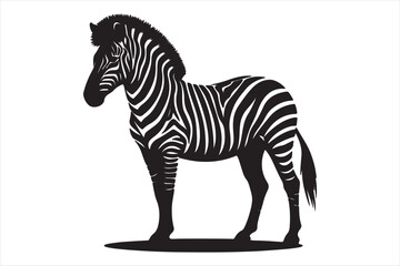 Zebra silhouette  vector