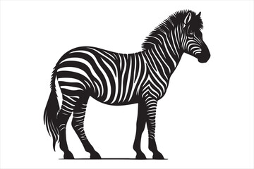Zebra silhouette  vector