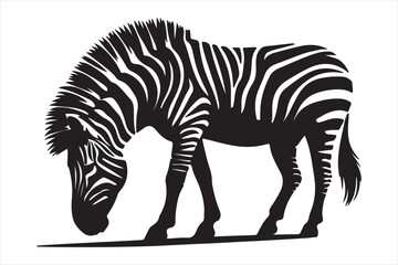 Zebra silhouette  vector