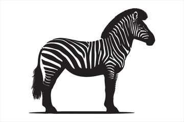 Zebra silhouette  vector