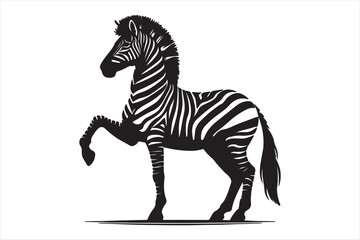 Zebra silhouette  vector