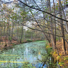 Löcknitz, Fluss im Herbst