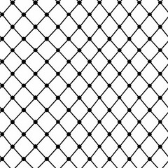 Fototapeta premium Black and white grid