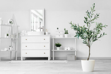 Interior of stylish modern bathroom with commode and decorative olive tree