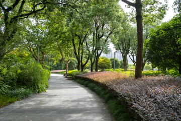 A winding pathway through a lush green urban landscaped park, tall trees with dense foliage create a canopy overhead, casting dappled sunlight on the path. Shrubs and various plants line the path
