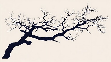 Fototapeta premium Silhouette of a bare tree branch against a light background.