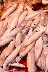 squid for sale in a market