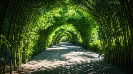 Obraz premium 1. Arches of lush green bamboo forest with beautifully curved shapes, forming natural tunnels, sunlight gently filtering through the leaves, casting intricate shadows on the ground