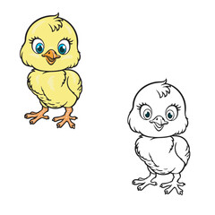 cartoon baby chick drawing with line art style. simple design outline style. hand drawn, color style. easy to edit. baby chick vector illustrations