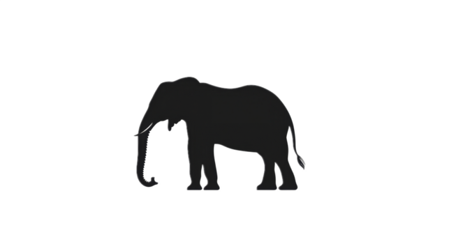 Elephant Silhouette on Black