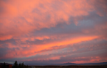 Fluffy pink clouds and sky