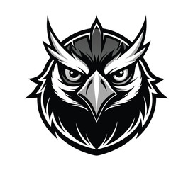 owl on a white background